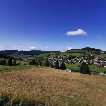 Fewo 3 - Residenz Schauinsland, Todtnauberg, Beifeldberg *