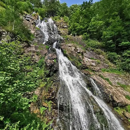Daire Fewo 3 - Residenz Schauinsland, Todtnauberg, Beifeldberg Todtnauberg