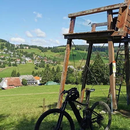 Daire Fewo 3 - Residenz Schauinsland, Todtnauberg, Beifeldberg Todtnauberg
